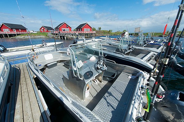 Angelreisen nach Gardsøya Rorbuer - Nordland